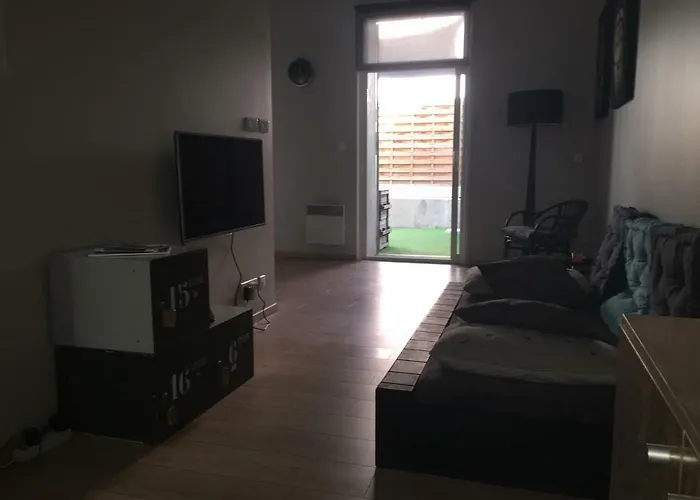 Le Mourillon Appartement -Terrasse